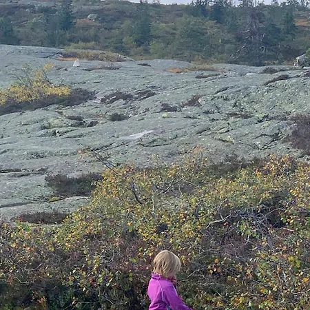 Gvelvasen Panorama, Blefjell, Family With View And Nature